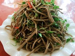 -北京小肠陈饭庄(方庄店)