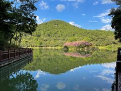 -广州白江湖森林公园