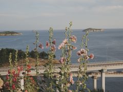 -星海湾跨海大桥