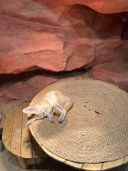 -Zoolung Zoolung动物主题公园(海信广场店)