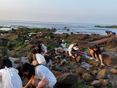 -老虎石海上公园