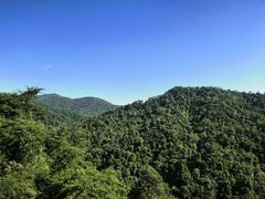 -野象谷景区