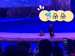 -华夏文旅海洋公园