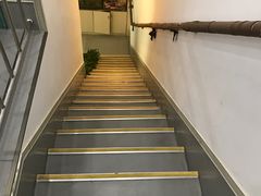 -贝利宠物医院·骨科·眼科·肿瘤转诊中心(南坪诊疗中心)