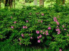 -天鹅湖体育公园