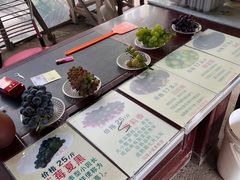 -马陆小张葡萄园农家乐