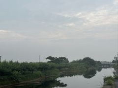 -南汇水蜜桃采摘(大团店)