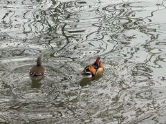 -颐和园