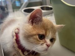 -Tims天好咖啡·贝果(拉斐尔云廊店)