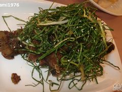 葱烤鲫鱼酥-新南华大酒店(广中店)
