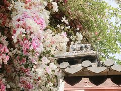 -深圳国际园林花卉博览园