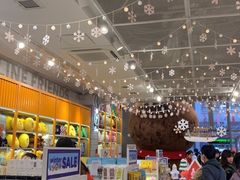 -line friends(明洞旗舰店)