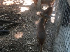 -昆明动物园