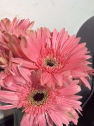 -尚玲纹绣纹眉特价店