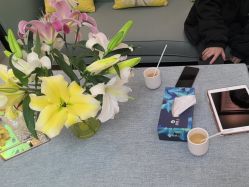 -静博士·养生养颜