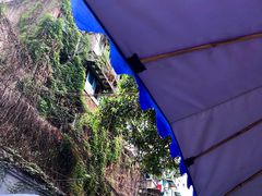 -十一街苍蝇馆子转经消江湖菜(九眼桥十一街店)