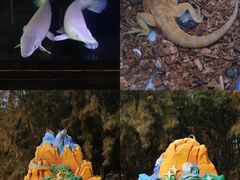 -六鳌翡翠湾滨海度假景区