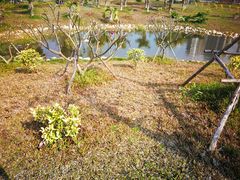 -金鸡岭桥头公园