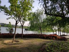 -马家湾湿地公园