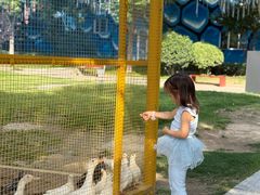 -华夏文旅海洋公园