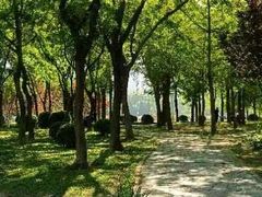 -泰丰公园
