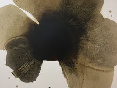 -香港会议展览中心演讲厅