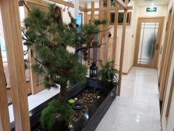 -芳朵美容养生SPA