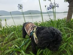-南北湖风景区