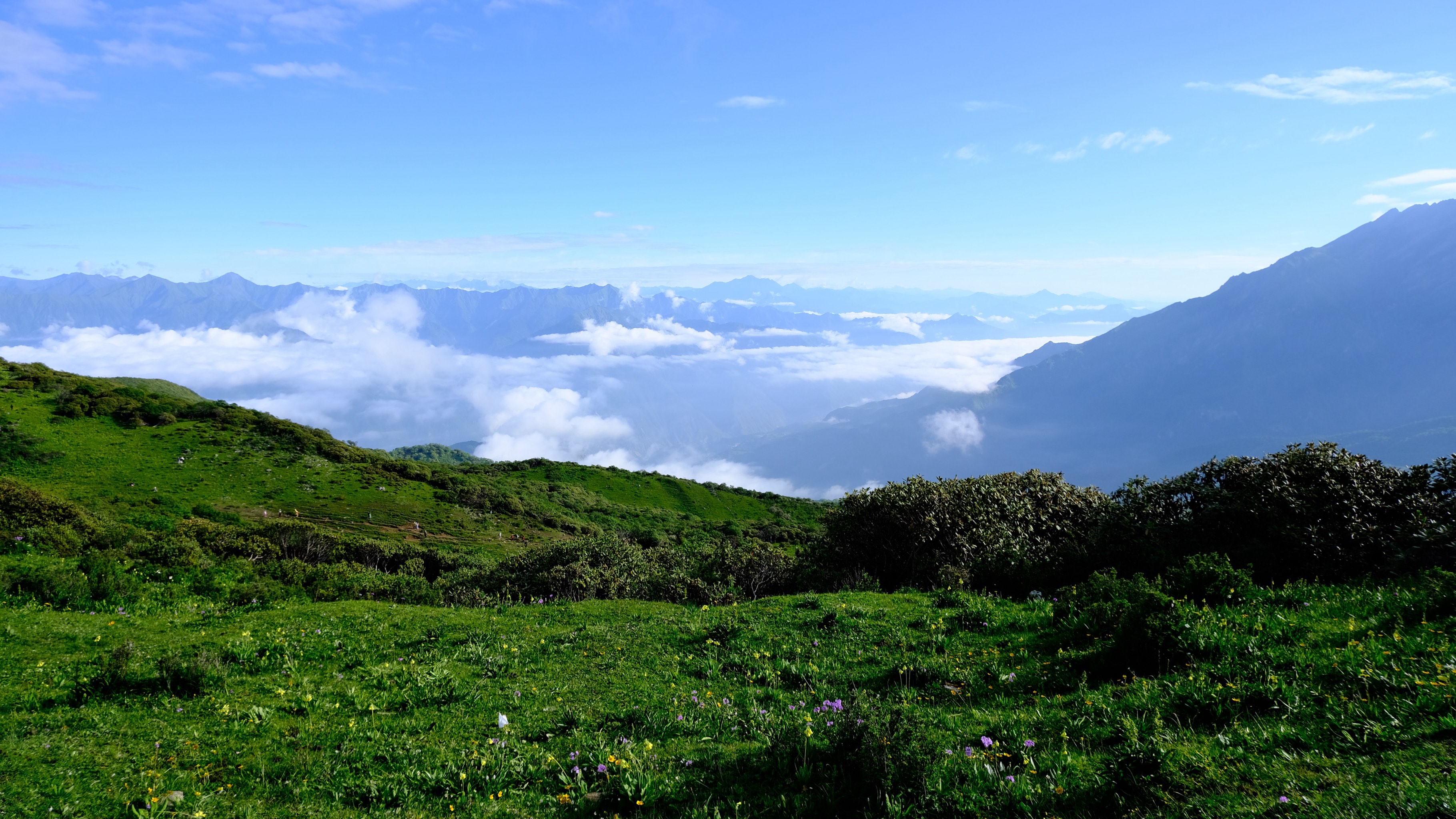 黄岛区九鼎山图片