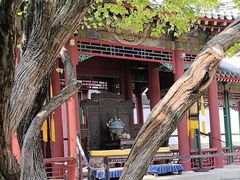 -宫事颐庭·老佛爷贵寿下午茶(颐和园店)