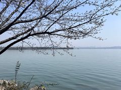 -东湖听涛景区