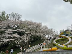 -杭州少年儿童公园