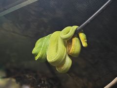 -可伦宾野生动物保护区
