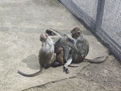 -齐齐哈尔龙沙动植物园