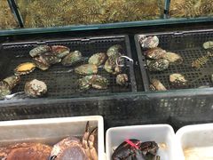 -岳各庄批发市场(西四环中路店)