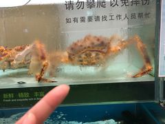 -永辉超市(鲁谷店)