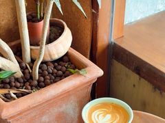 -Radar Coffee(思南路店)