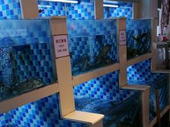 -野渡坡·极致湘菜·庭院餐厅(汉阳店)
