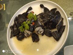药材浸乌鸡-沙龙酒家