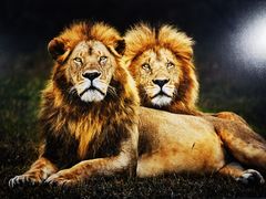 -罗红摄影艺术馆