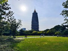 -红梅公园