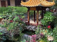 -白天鹅宾馆-宏图府餐厅