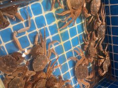 -星伦多自助料理·涮烤一体(杭州来福士店)