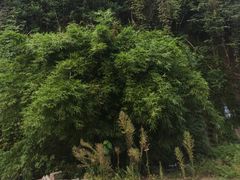 -水绘园