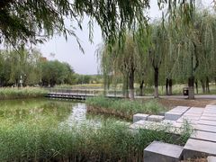 -中关村生命科学园