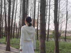 -桃花岛景观公园