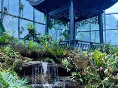 -东莞植物园