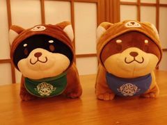 -豆柴町-柴犬主题狗咖(红鼎国际C座店)