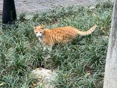 -荔湾博物馆