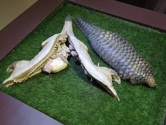 -大连自然博物馆